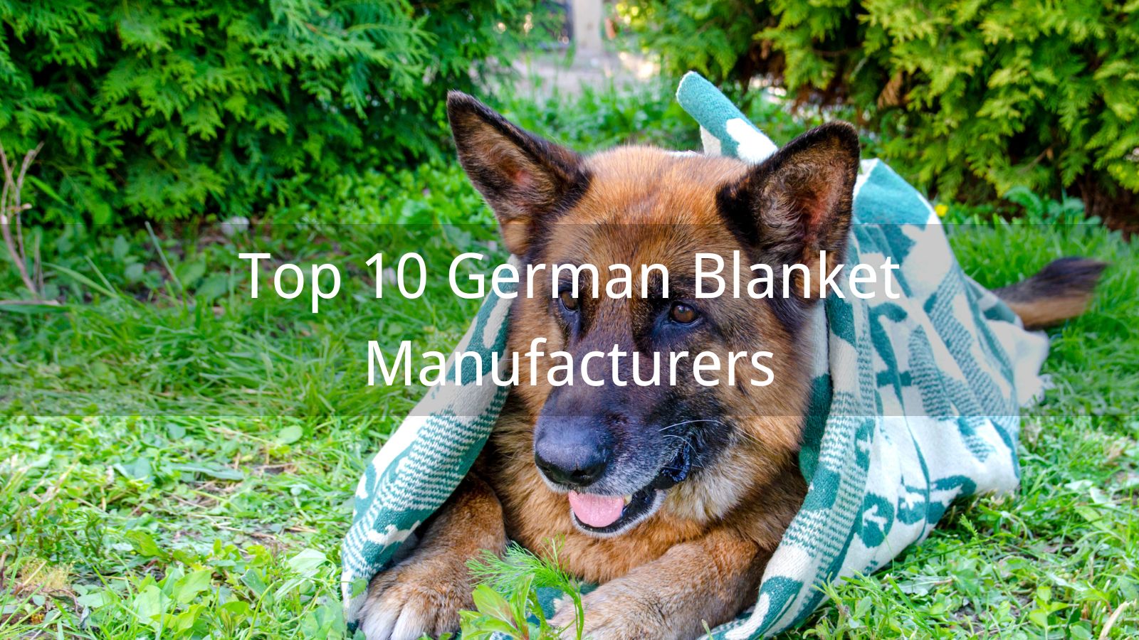 Top 10 German Blanket Manufacturers in 2024 Jemo