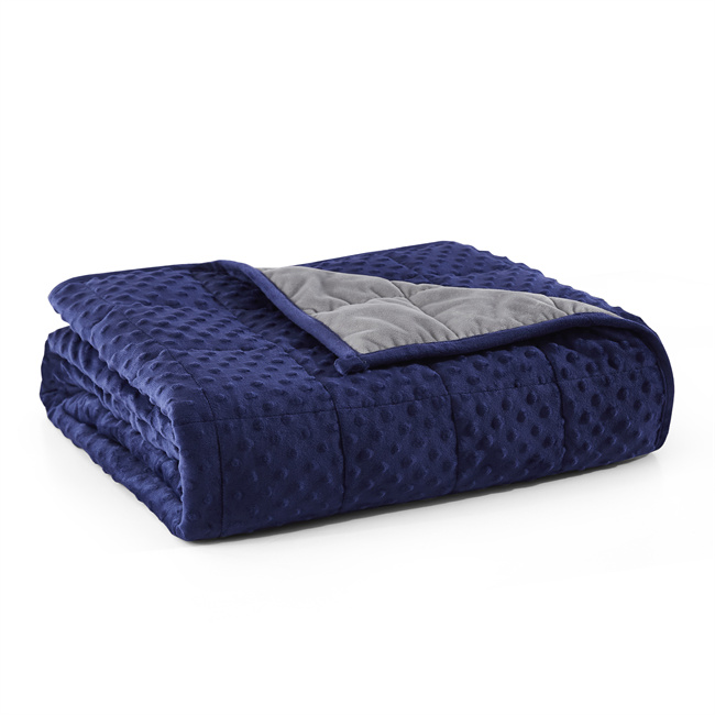 Cozy and Warm Minky Plush Weighted Blanket 